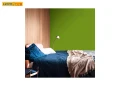 Farba do wnętrz Kolory Świata Dzikie Pnącza 5L – DULUX 4z4.png