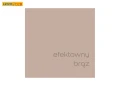 Farba lateksowa do wnętrz plamoodporna Easycare Efektowny Brąz 5L – DULUX 2z4.png