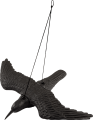 obraz_2023-01-31_155352688.png