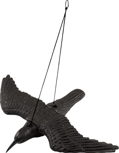obraz_2023-01-31_155352688.png