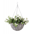 obraz_2023-05-17_140412122.png