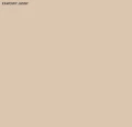 obraz_2023-07-18_150729677.png