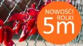 Nowości.webp