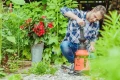 Opryskiwacz - Dom i Ogród - Mrówka Erem Przemyśl - EremSklep.pl