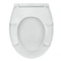 Deska sedesowa WC Pogo 5905668550483  - Sklep Mrówka - EREM - eremsklep.pl