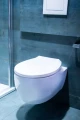 Deska sedesowa WC Pogo 5905668550483  - Sklep Mrówka - EREM - eremsklep.pl