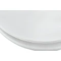 Deska sedesowa WC Pogo 5905668550483  - Sklep Mrówka - EREM - eremsklep.pl
