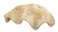 Figurka dekoracyjna muszla 6 x 21 x 15 cm 5902663414000 - Sklep Mrówka - EREM - eremsklep.pl