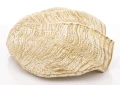 Figurka dekoracyjna muszla 6 x 21 x 15 cm 5902663414000 - Sklep Mrówka - EREM - eremsklep.pl