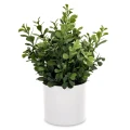 Roślina dekoracyjna Led-Prom. 25 x 17 x 17 cm 5902663758708 - Sklep Mrówka - EREM - eremsklep.pl