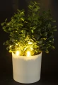 Roślina dekoracyjna Led-Prom. 25 x 17 x 17 cm 5902663758708 - Sklep Mrówka - EREM - eremsklep.pl