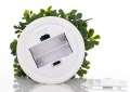 Roślina dekoracyjna Led-Prom. 25 x 17 x 17 cm 5902663758708 - Sklep Mrówka - EREM - eremsklep.pl