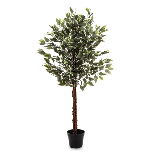 Roślina dekoracyjna Fikus 130 x 65 x 65 cm 5902663792023 - Sklep Mrówka - EREM - eremsklep.pl