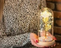 Wieczna róża w szkle z podświetleniem biały 5902270789645 - Sklep Mrówka - EREM - eremsklep.pl
