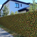 Panel roślinny dekoracyjny ze sztucznych roślin Runianka japońska 0,25m2 50 x 50 cm 5907269797854 - Sklep Mrówka - EREM - eremsklep.pl