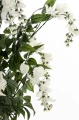 Drzewko dekoracyjne Wisteria 96 cm 5902663761012 - Sklep Mrówka - EREM - eremsklep.pl