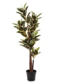 Drzewko dekoracyjne Fikus 123 cm 5902663762101 - Sklep Mrówka - EREM - eremsklep.pl
