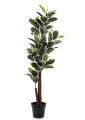 Drzewko dekoracyjne Fikus 123 cm 5902663843305 - Sklep Mrówka - EREM - eremsklep.pl