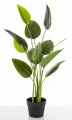Roślina dekoracyjna 89 x 50 x 50 cm 5902663843343 - Sklep Mrówka - EREM - eremsklep.pl