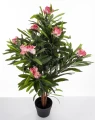 Roślina dekoracyjna Oleander 95 x 65 x 65 cm 5902663843374 - Sklep Mrówka - EREM - eremsklep.pl