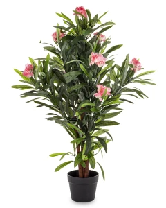 Roślina dekoracyjna Oleander 95 x 65 x 65 cm