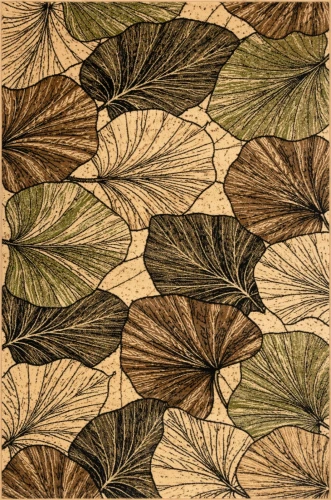 Dywan Standard Orsei 170 x 240 cm groszek
